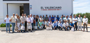 Claves para afrontar el estrés hídrico del olivar desde la innovación agronómica y tecnológica