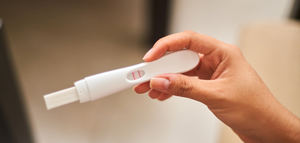 La Dieta Mediterránea y la microbiota vaginal influyen en el éxito de la inseminación artificial