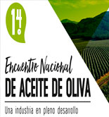 El desarrollo de la industria oleícola chilena centrará el Encuentro Nacional de Aceite de Oliva