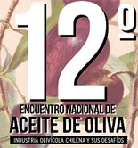 Chile celebra esta semana su XII Encuentro Nacional de Aceite de Oliva
