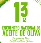 Chile celebrará el 28 de octubre su XIII Encuentro Nacional de Aceite de Oliva