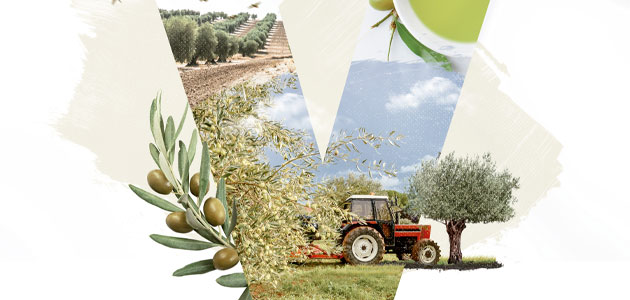 El agua, la innovación y la modernización del sector protagonizarán el V Encuentro de Olivicultores de Grupo Oleícola Jaén