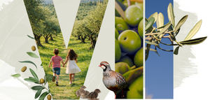 Baeza acoge el VII Encuentro del Grupo Oleícola Jaén