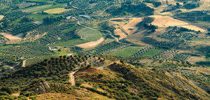 Tres de cada cuatro europeos conocen la PAC y el 56% quiere que se incrementen las ayudas a los agricultores