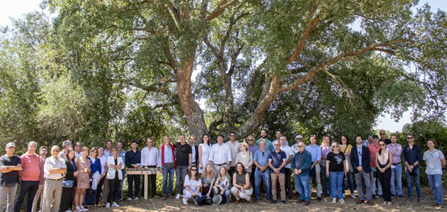 Endesa y Apadrinaunolivo firman un convenio para la recuperación de 10.000 olivos en Portugal