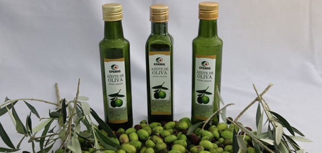 Consejos para elegir y maridar con aceites de oliva