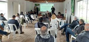 El Instituto Nacional de la Olivicultura y Aceite de Oliva Brasileño coordina sus actividades