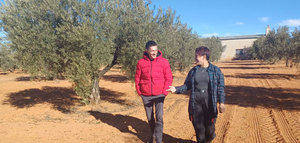 Jóvenes del programa "Erasmus agrario" conocen el olivar de Castilla-La Mancha
