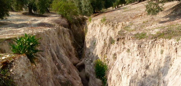 La agronomía y la arqueología se unen para reconstruir la historia de la erosión en Andalucía