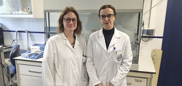 Identificadas unas esporas bacterianas que presentan actividad antimicrobiana contra la Xylella fastidiosa