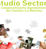Mapa económico de las cooperativas oleícolas en Castilla-La Mancha 