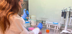 Demuestran el potencial neuroprotector de extractos ricos en polifenoles obtenidos del olivo