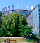 La Eurocámara apoya dar ventajas arancelarias al aceite de Túnez pero pide salvaguardas