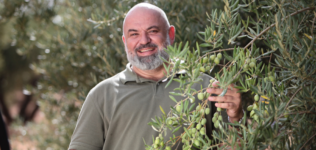 Estrategias de nutrición integral para el cultivo del olivo de EuroChem