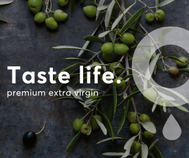 evoopremium.shop