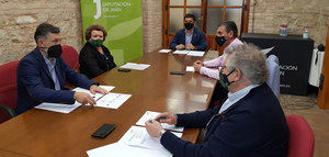 Analizan los aspectos para mejorar el expediente de la candidatura de Paisajes del Olivar en Andalucía