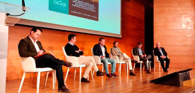 La situación actual de la olivicultura internacional, a debate en el Primer Diálogo Expoliva