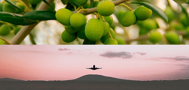 La exportaciones andaluzas de aviones superan por primera vez a las del aceite de oliva, que también registran cifras récord