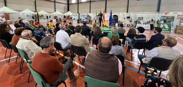 Extremadura destaca el incremento de casi un 13% en el número de hectáreas de olivar ecológico