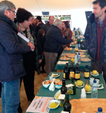 La Junta de Extremadura subraya la importancia y proyección del sector del olivar en la Comunidad