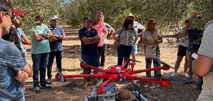 Las cooperativas catalanas presentan los primeros resultados de un proyecto para mejorar la rentabilidad en el cultivo del olivo