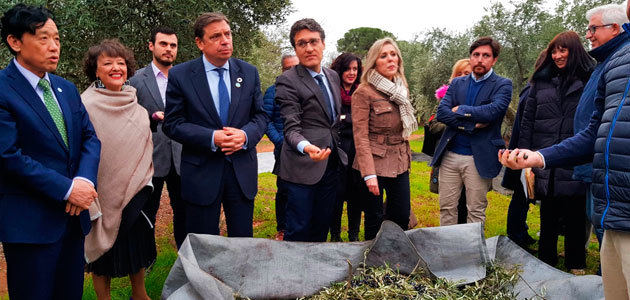 El director general de la FAO conoce el sector del olivar en una visita a Montoro (Córdoba)