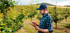 Llega a España Farmable, una app para la gestión de explotaciones de árboles frutales