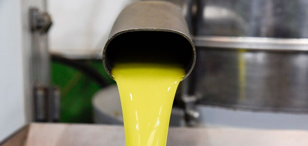 La producción de aceite de oliva de Cataluña podría caer hasta las 16.000 t.