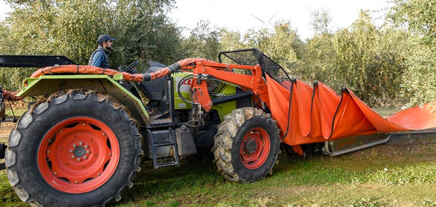 La FCAC prevé una producción de 20.000 toneladas de aceite de oliva en Cataluña esta campaña