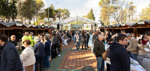 Los AOVEs tempranos de Jaén se muestran en Fuenlabrada