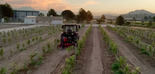 ID David inaugura su finca experimental 'La Rambla La Vera' en el marco de su 50º aniversario