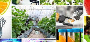La inversión innovadora extranjera apuesta por el sector agritech español