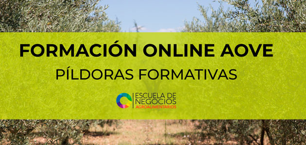 ESNEA lanza una nueva plataforma on line para impartir formación en AOVE