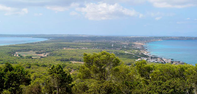 Formentera avanza en la puesta en marcha de una almazara de aceite