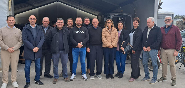 Formentera podrá elaborar su propio aceite a partir de octubre