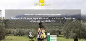 Jaén acogerá el I Foro por la Cultura Oleícola de Andalucía y el Oleoturismo