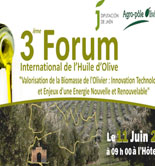 Meknès acoge el 3º Forum Internacional del Aceite de Oliva