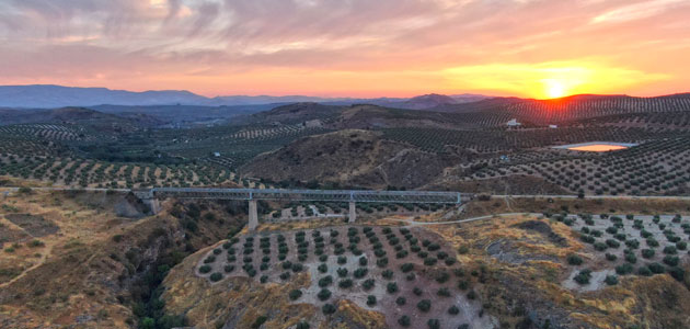 El Premio de Fotografía de la Vía Verde del Aceite ya tiene ganadores