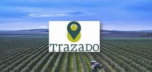 Trazado, un nuevo sistema de información en tiempo real que registra las salidas y entradas de aceite de oliva