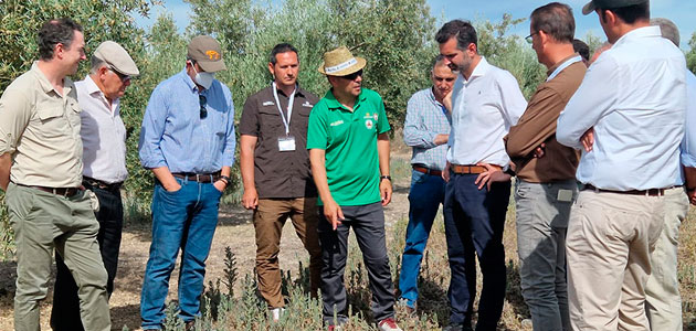 Framework: agricultura, caza y ciencia se unen para devolver la biodiversidad al olivar