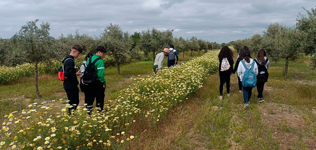Framework : cinco años recuperando la biodiversidad en el olivar andaluz