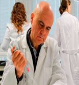 Los beneficios para la salud de dos fitoestrógenos presentes en los aceites de oliva vírgenes