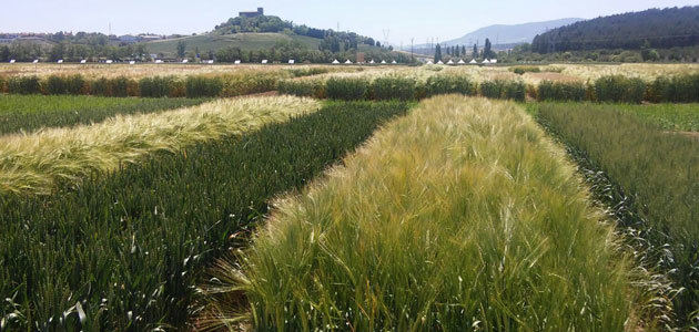 El espacio Genvce se convertirá en el Silicon Valley del cultivo extensivo