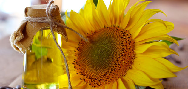 El consumo prolongado de aceite de girasol puede afectar de manera negativa  al hígado | Mercacei