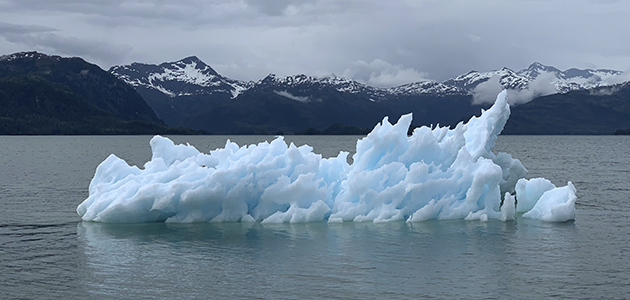 El año glacial