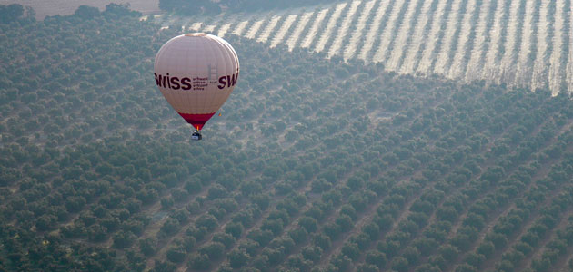 Periodistas norteamericanos contemplan desde el aire el paisaje del olivar malagueño