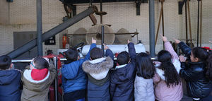 Del árbol a la mesa sin generar residuos: la economía circular de la recogida de aceituna