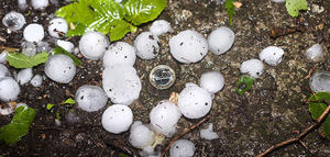 Ayudas de más de 16 millones para fomentar la contratación de seguros agrarios en Andalucía