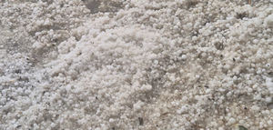 El olivar, entre los cultivos más dañados por las tormentas de granizo en Castilla-La Mancha
