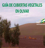 Guía de cubiertas vegetales en olivar